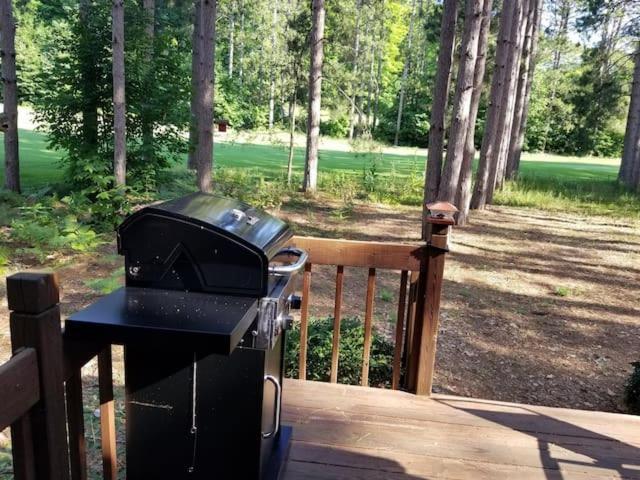 Crystal Mountain Cabin-Shuttle Pass Included! Thompsonville Экстерьер фото