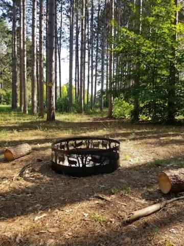 Crystal Mountain Cabin-Shuttle Pass Included! Thompsonville Экстерьер фото